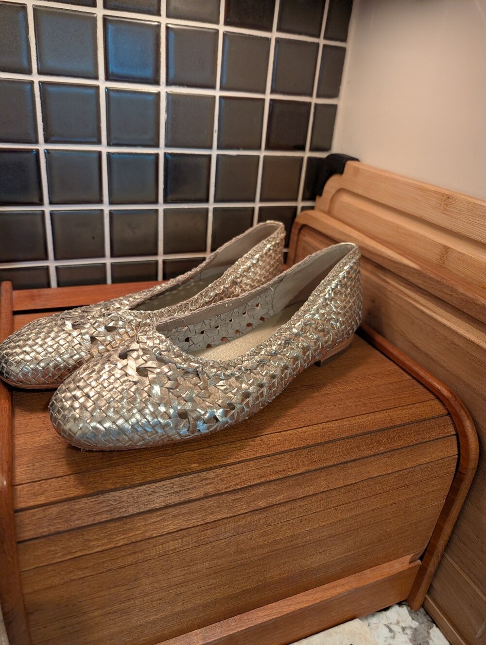 Bertuchi Leather Woven Ballet Flats,38